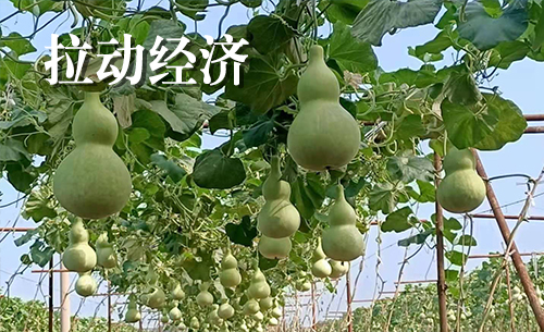 永信贵宾会217·(中国区)官网